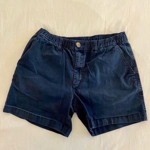 Chubbies Original Stretch  5.5 inch inseam short